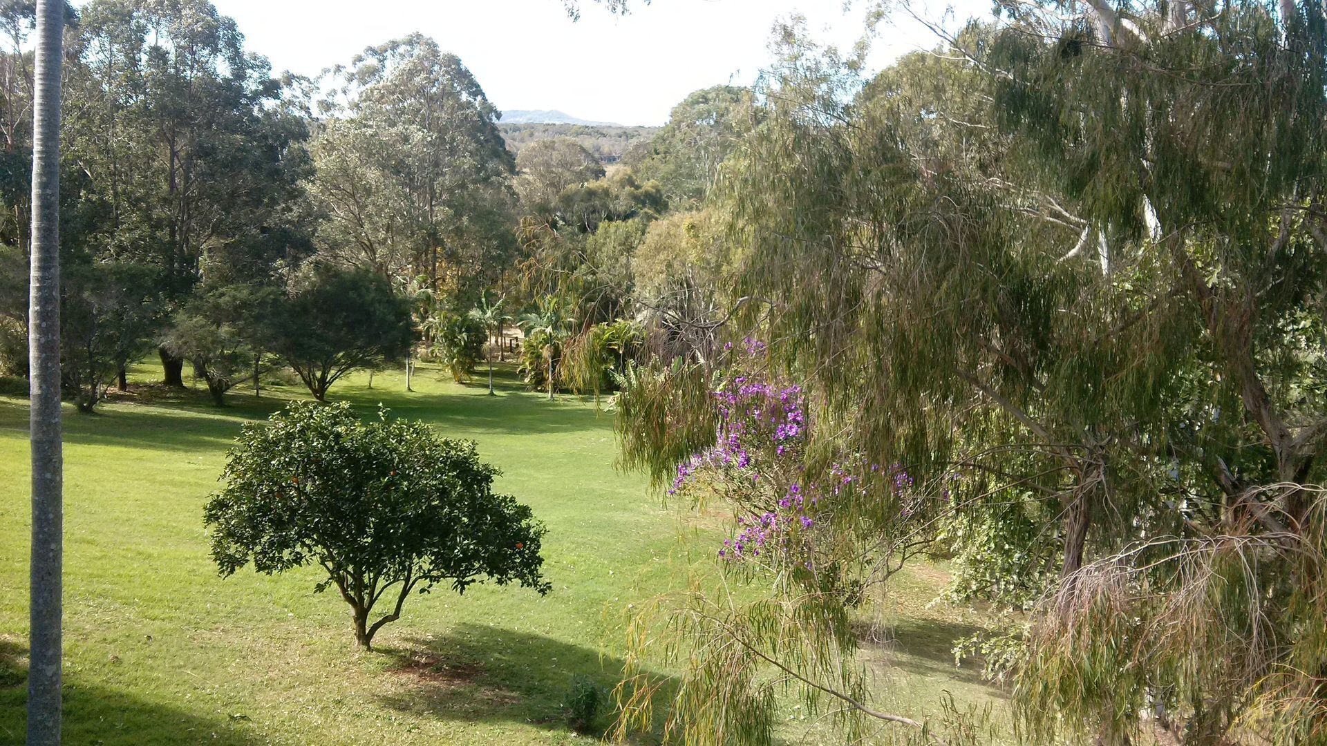 Byron Bay Vista Lodge