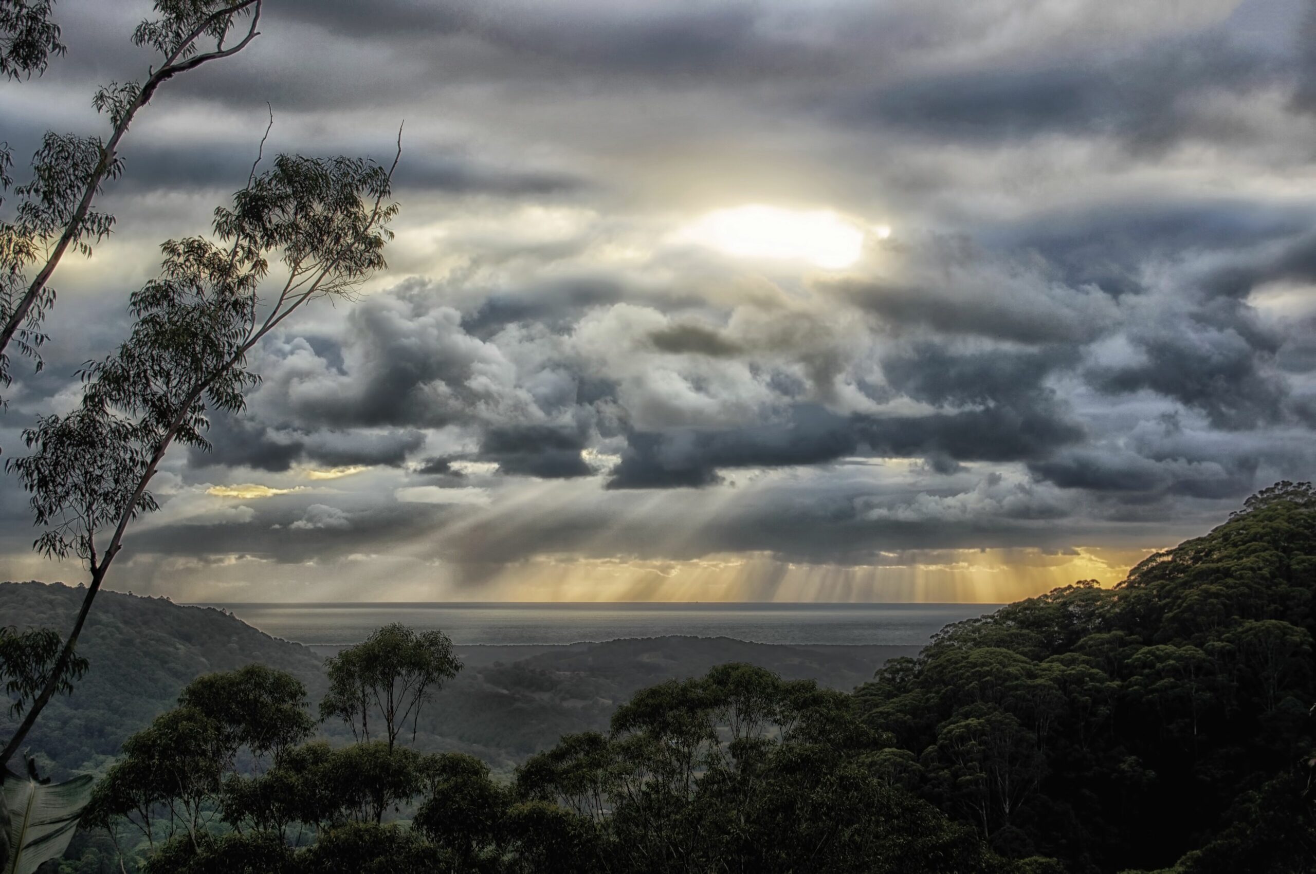 The Treepod-wake up to the Sunrise with views over valley to the Ocean