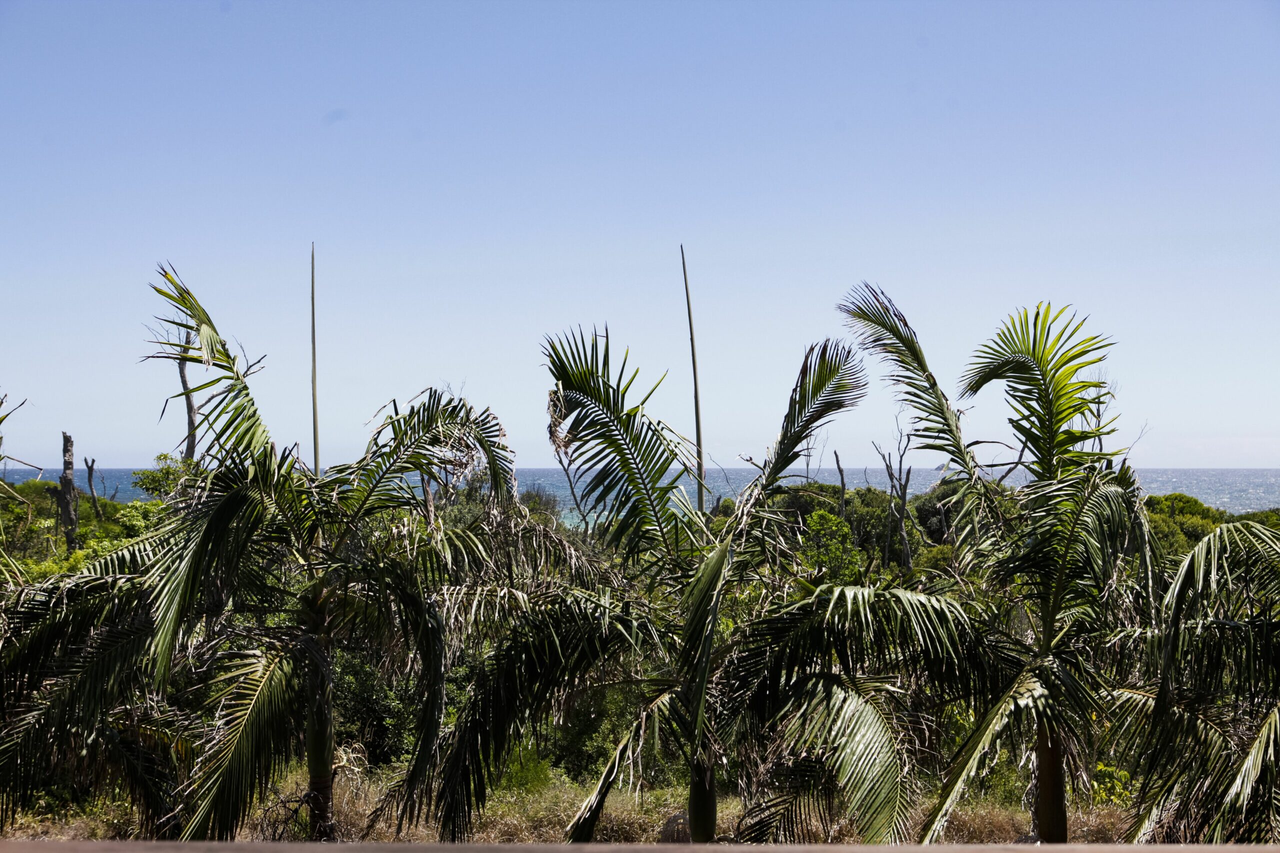 Waves Everyday - Unobstructed View to Beautiful Belongil Beach