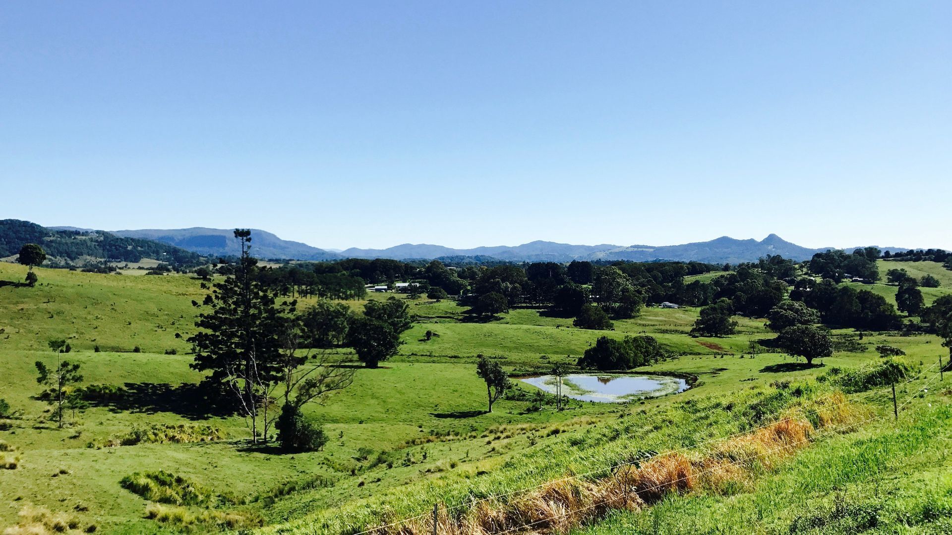 BYRON HINTERLAND ECO-LUXE STAY