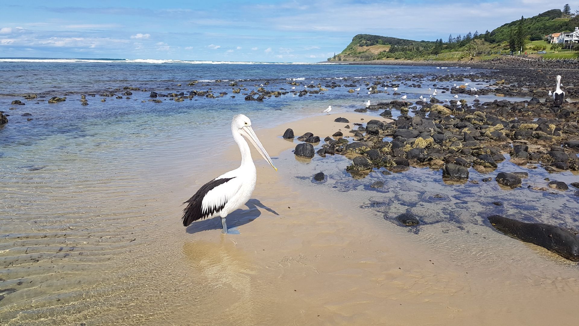 Lennox Head Beach House 100m to beach