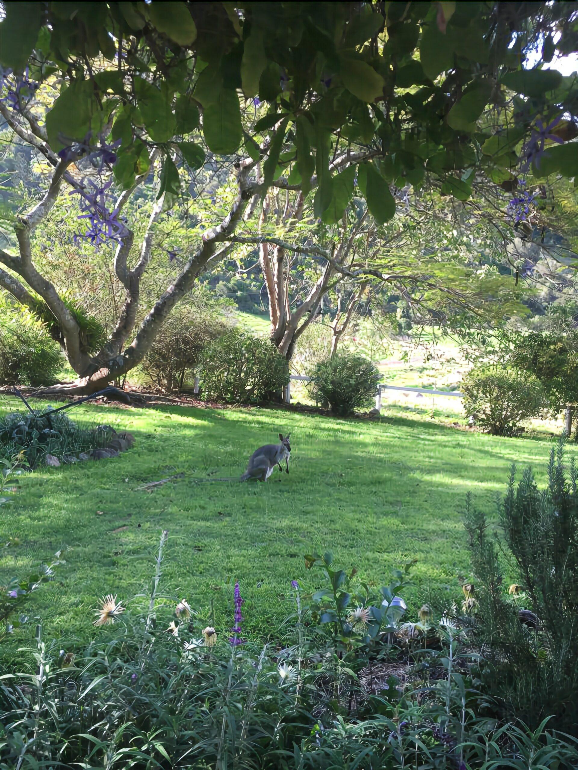 Beaumont High Country Homestead - Peaceful Getaway on a Working Cattle Property