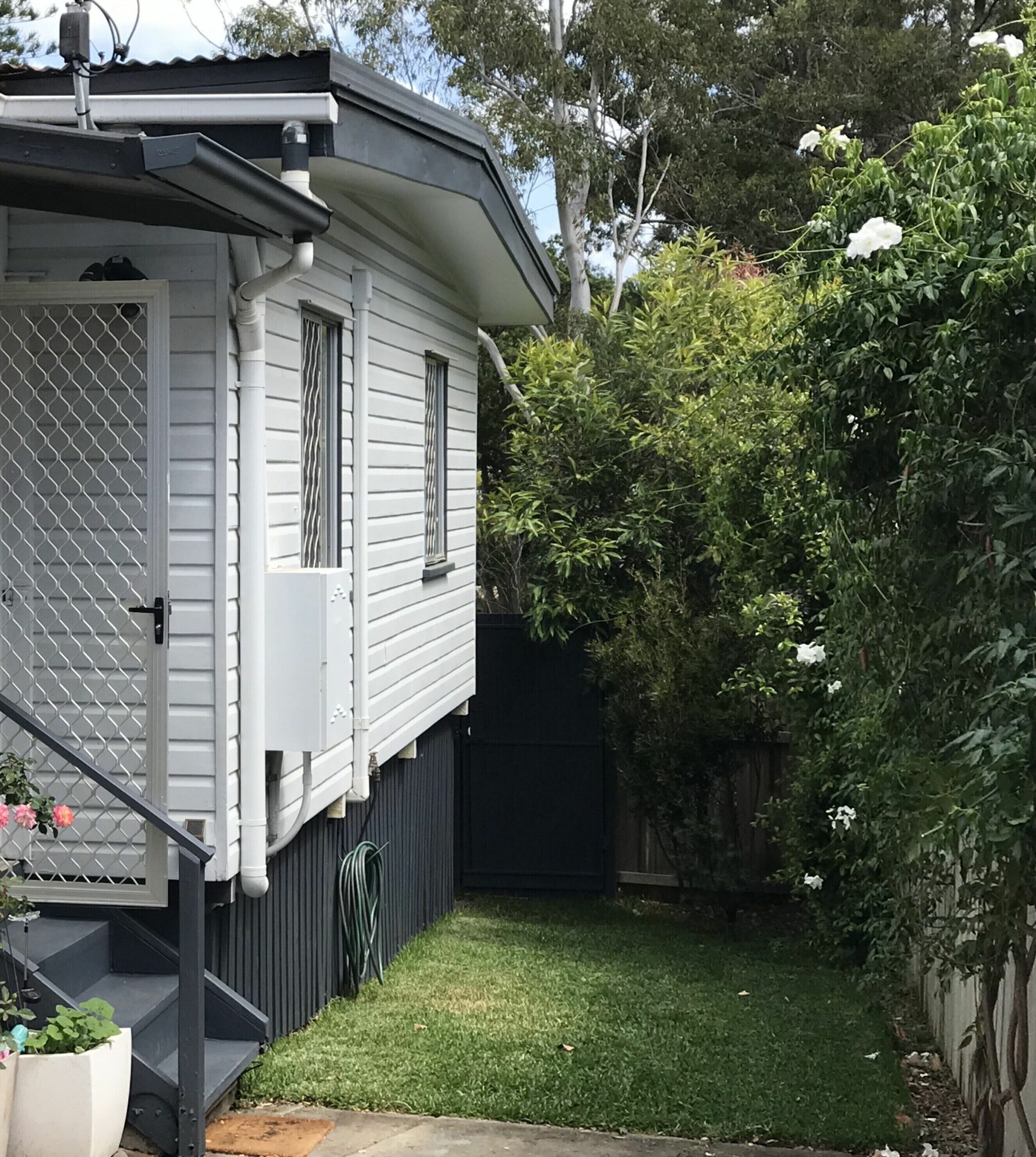 Surfers Beach Cottage Pet Friendly