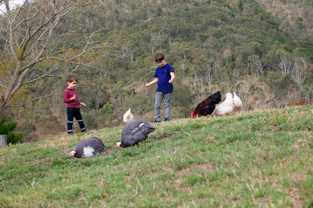 Darlington Grove Farm Stay in a Renovated Dairy Lots of Animals and River Access