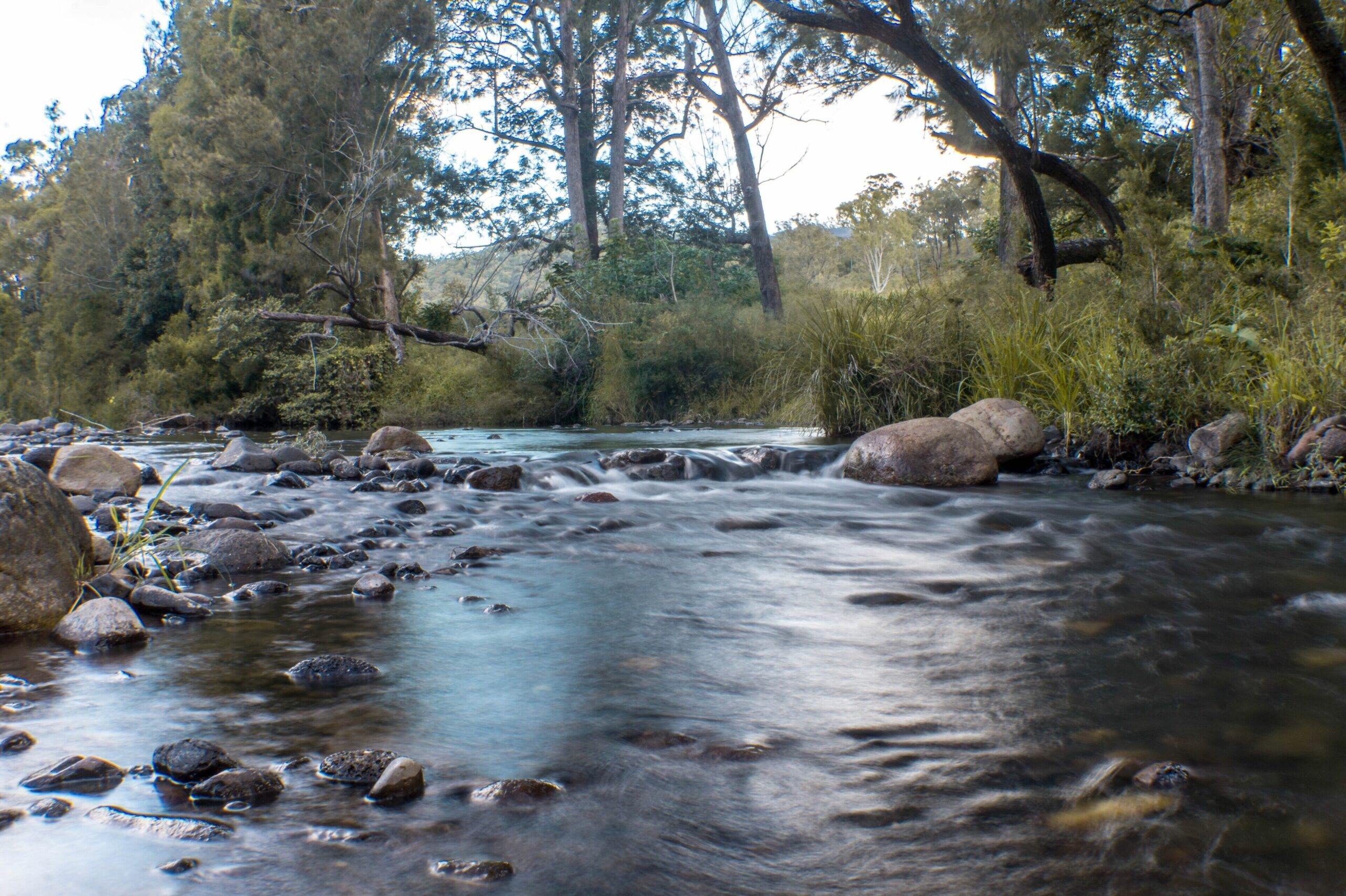 Eighteen Mile Cottage - river access with breathtaking views!