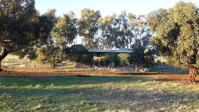 Trees Hideaway Secluded Farm getaway