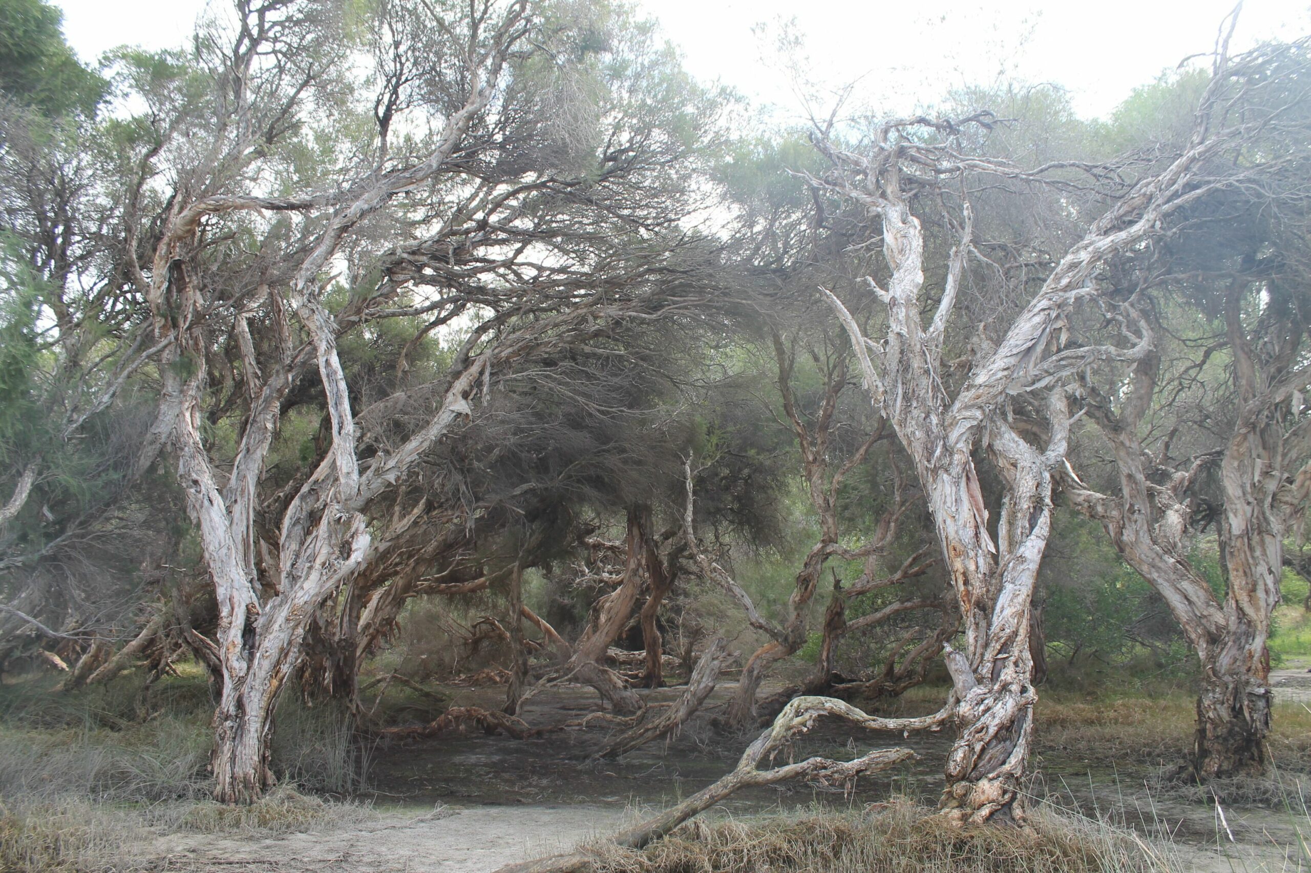 The Glass House Guilderton - The closest house to a river mouth in the WA