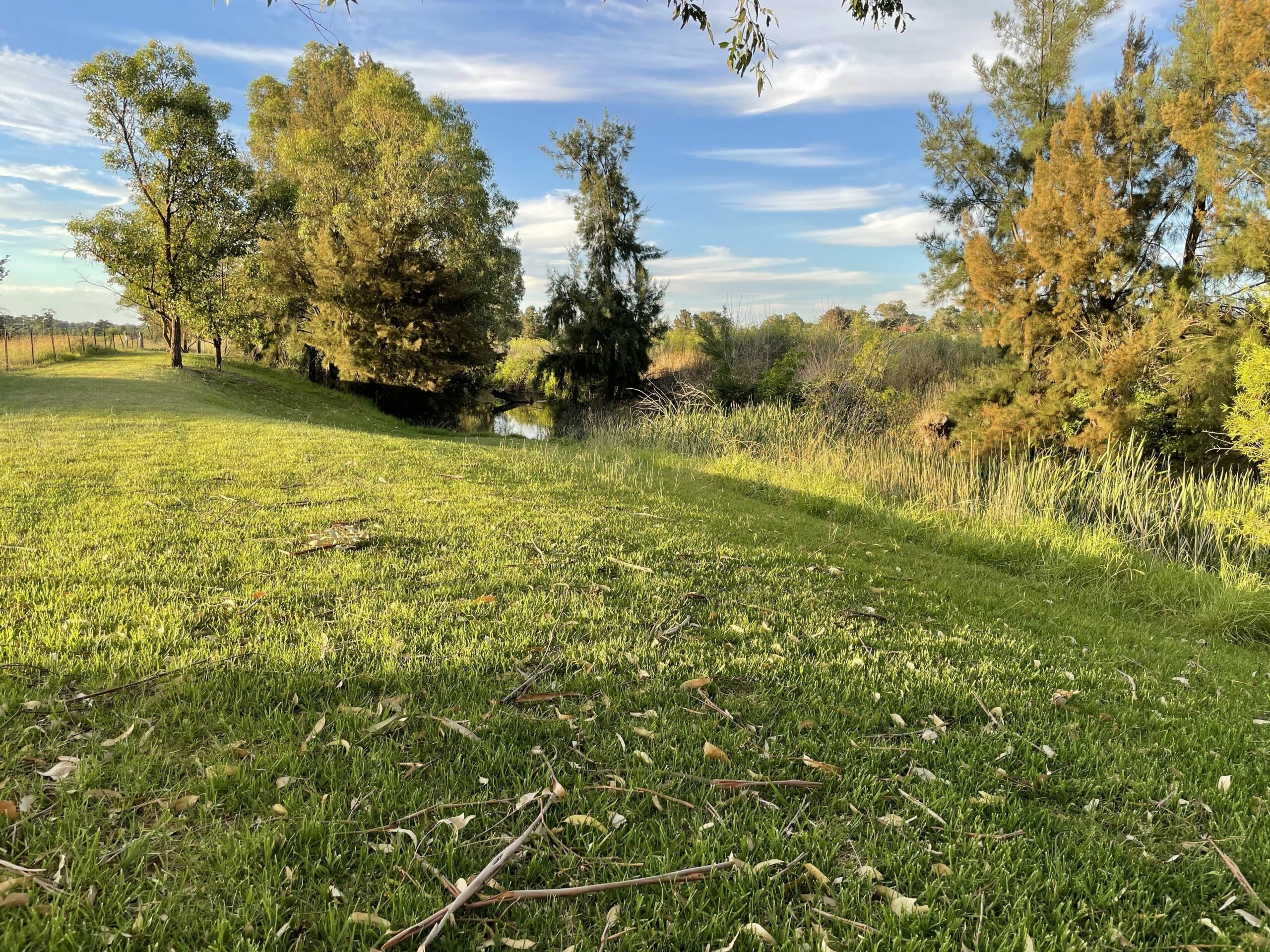 Almas Cottage 10 Acres on the River in the Middle of Mudgee Town