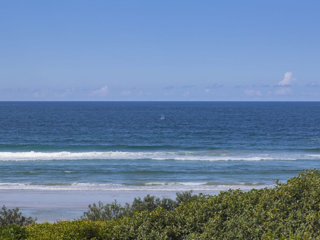 Shoreline 6 With Ocean Views TO SEE THE Whales