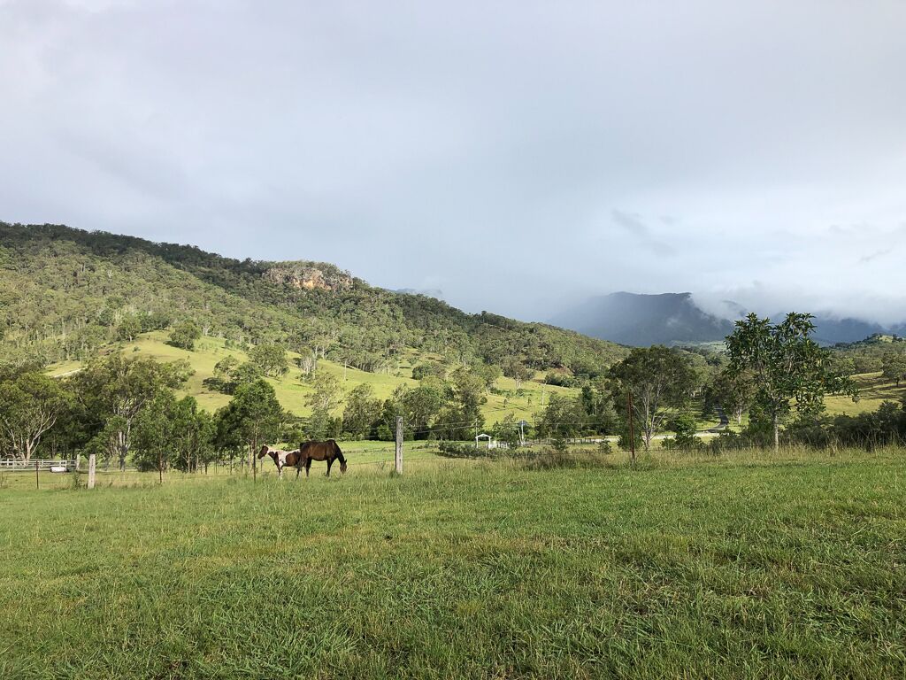 Darlington Grove Farm Stay in a Renovated Dairy Lots of Animals and River Access