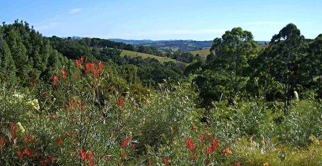 Tallaringa Views - Located at Byron Bay Hinterland