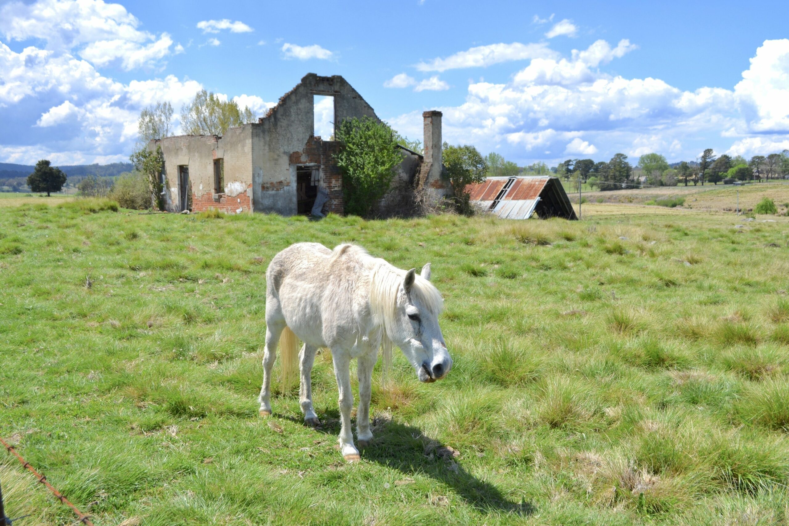 Historic Luxury Accommodation - Escape to Classic Country Charm