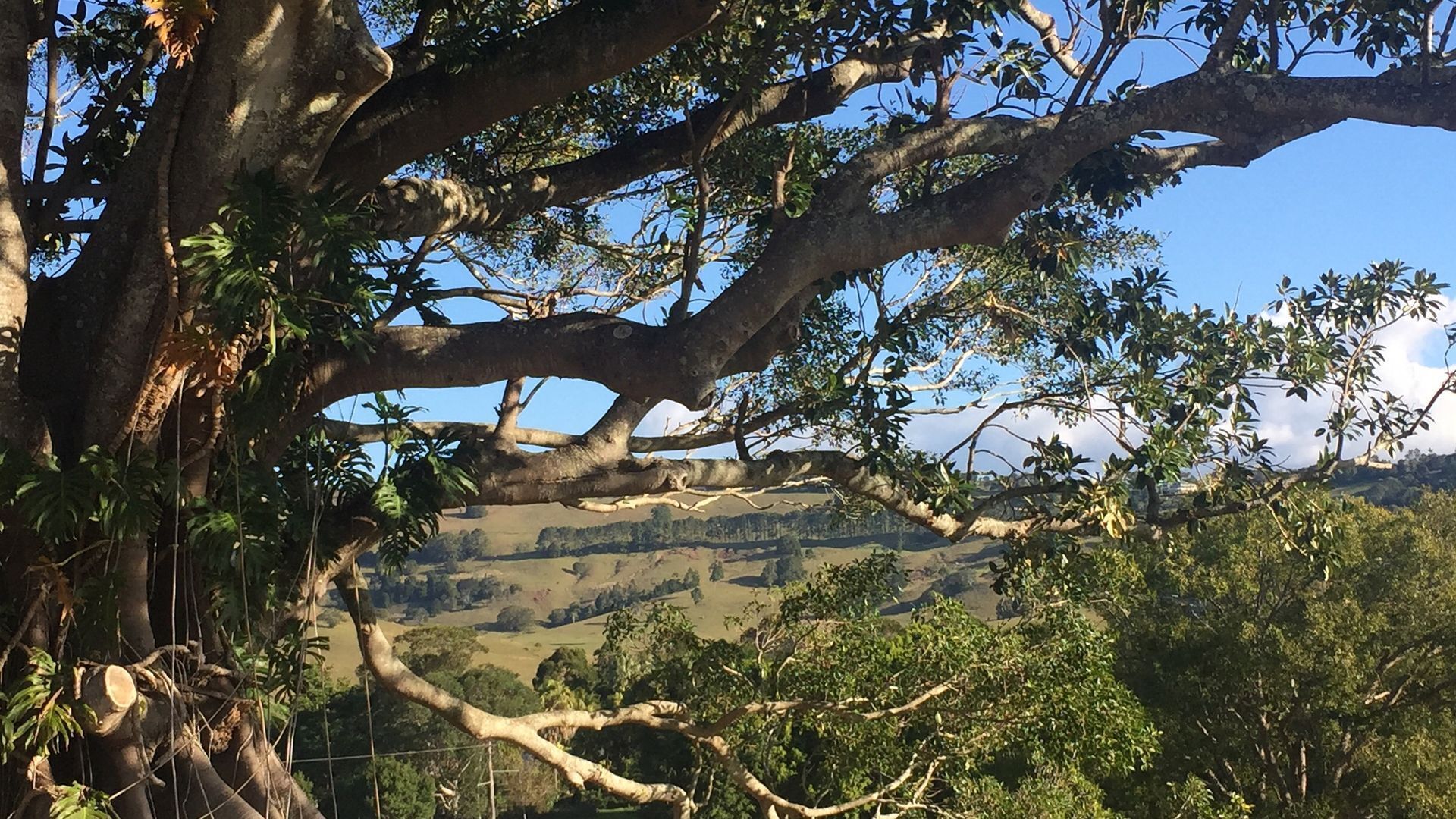 Byron Bay's Heritage Tooraloo Farm Stay