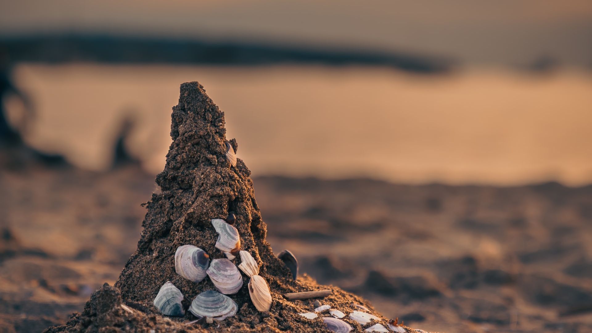 Seashells Ocean Rd, Brooms Head Only Meters From Beach