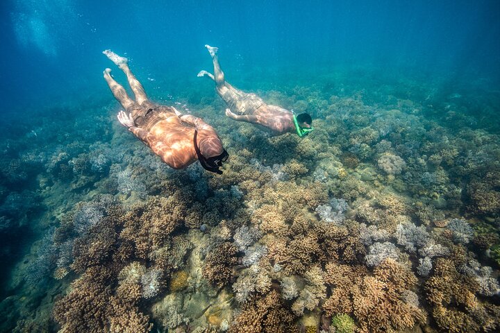 Full-Day Whitsunday Sail and Snorkel Adventure with Lunch