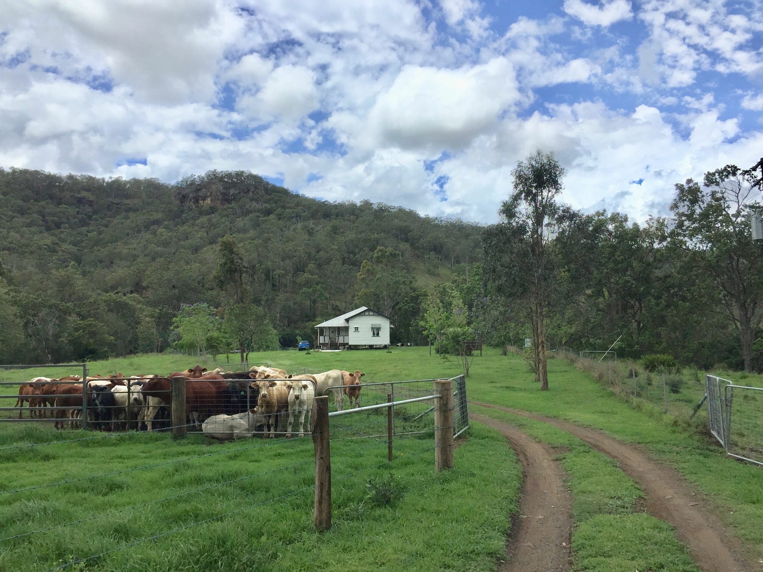 Eighteen Mile Cottage - river access with breathtaking views!