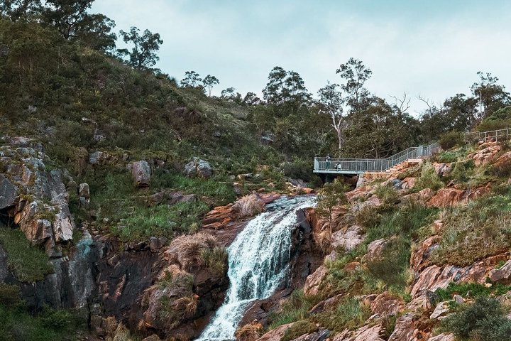 Stanthorpe Small – Group Food Comedy and Wine Tasting Tour