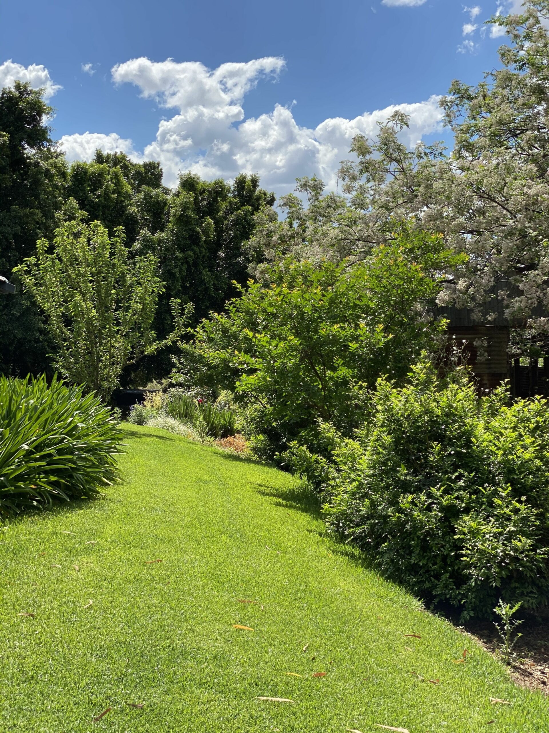 River Front Close to Dubbo