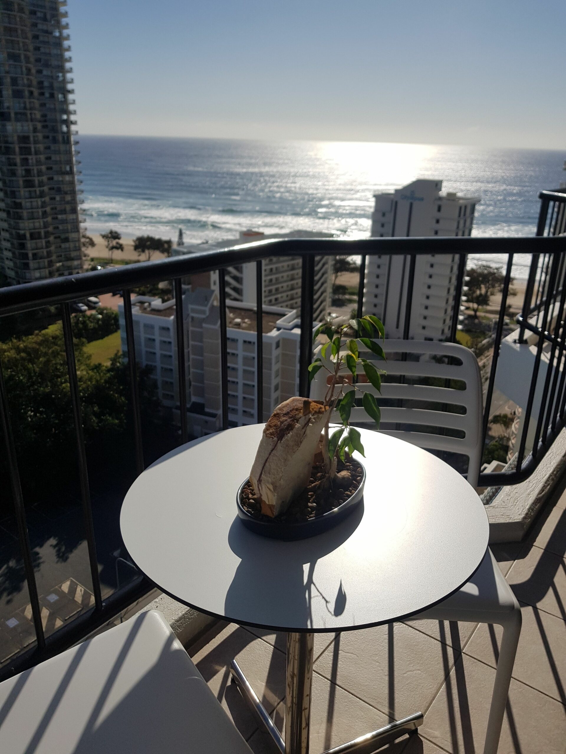 16th Floor Surfers Paradise Suite