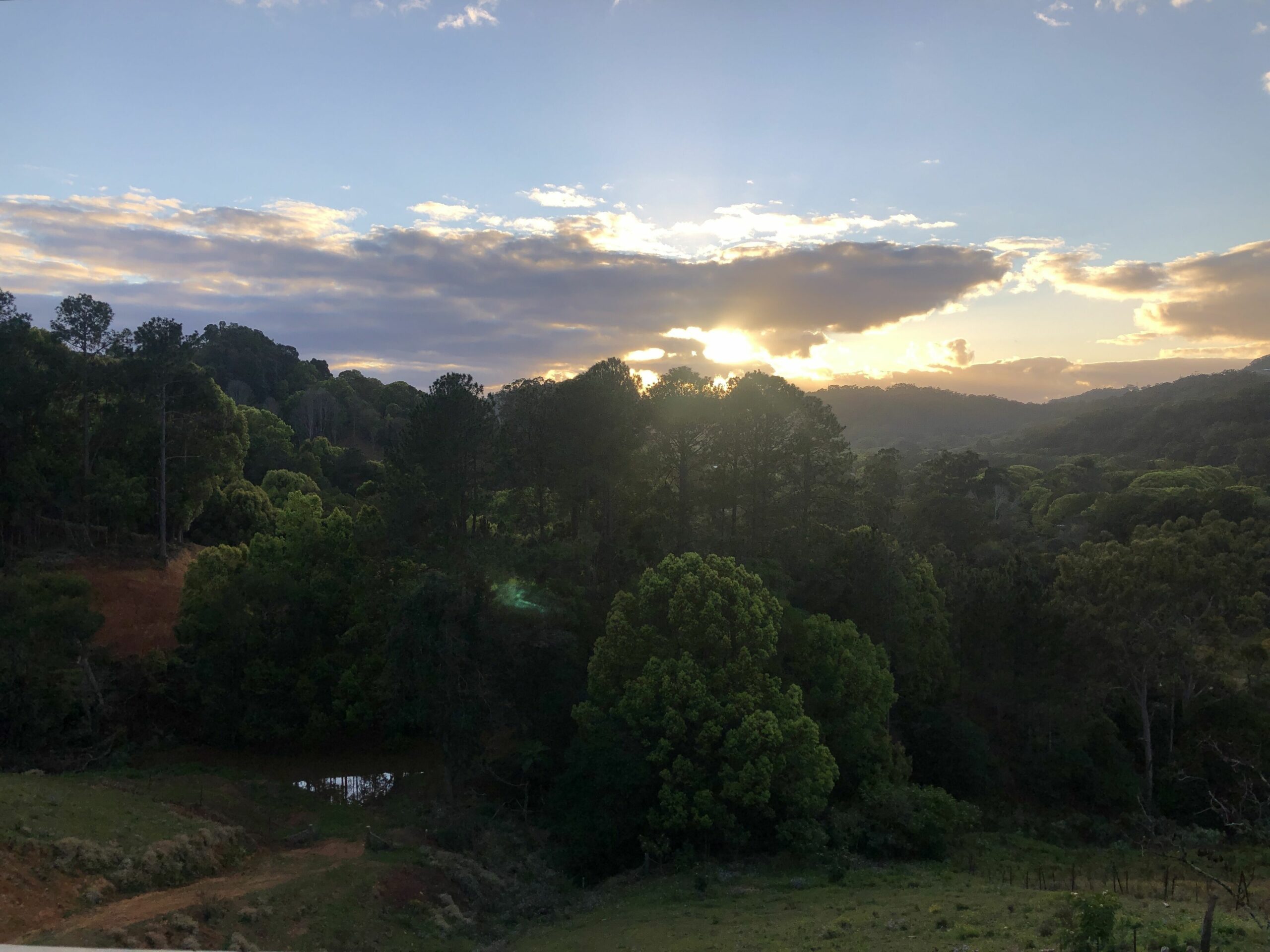 Currumbin Valley View Cottage