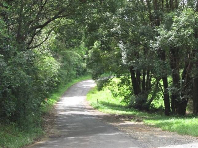 The Tin Shed Byron Bay Hinterland