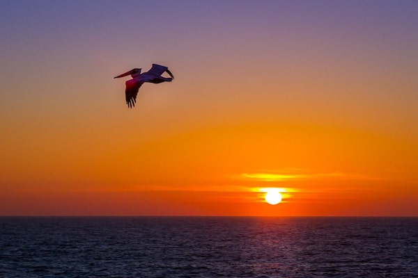 Milbi Sunset