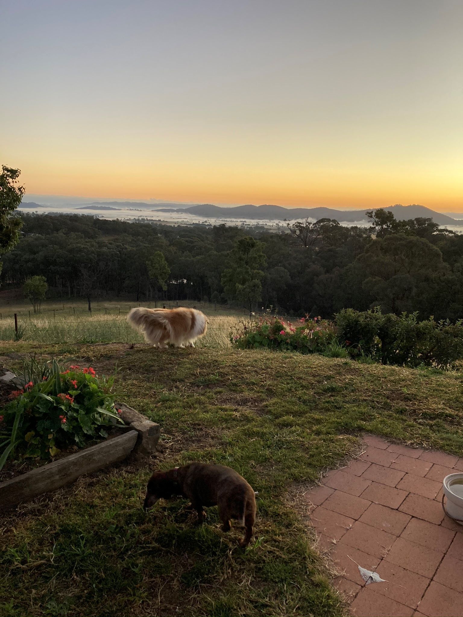 Views forever in a cosy house