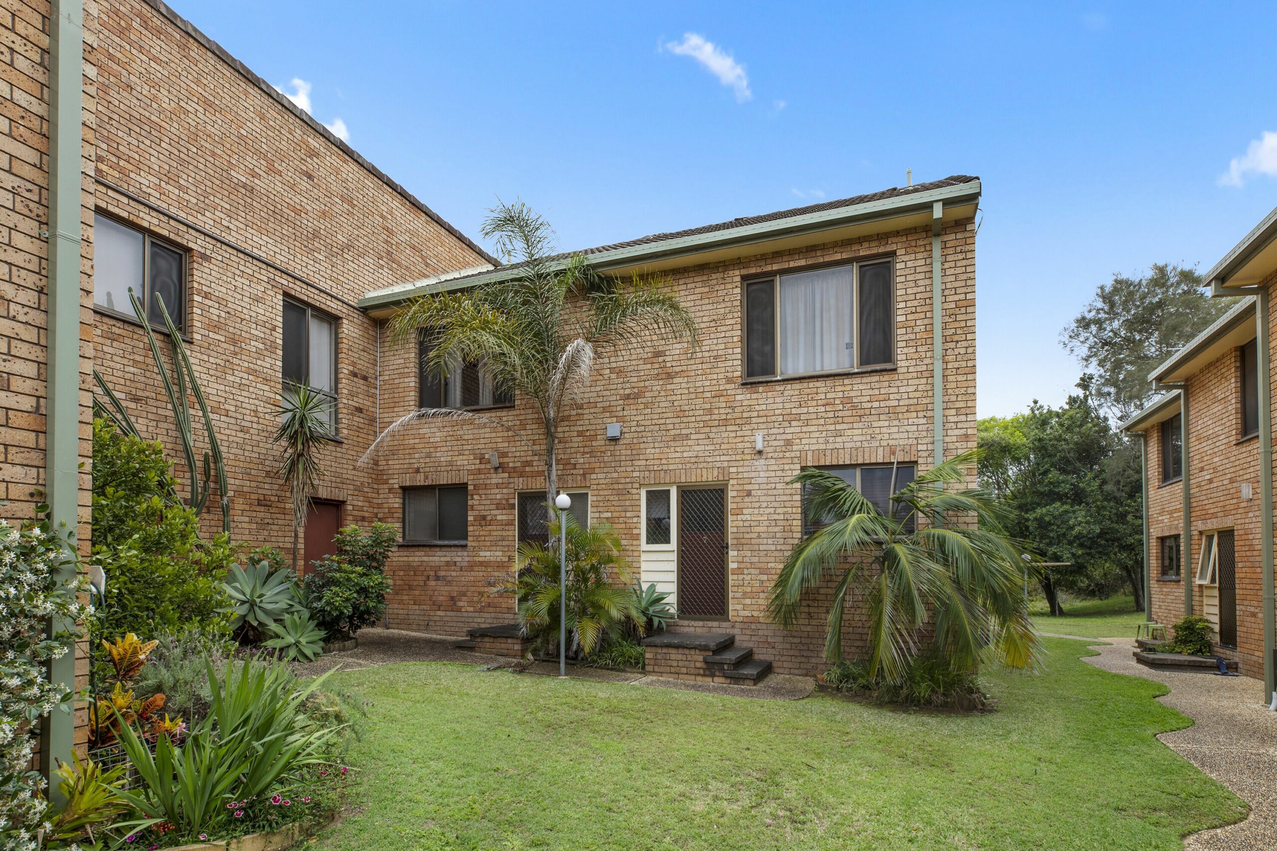 Banksia in Sunny Sawtell