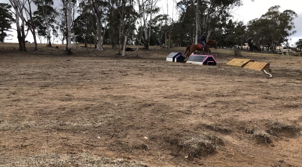 Relaxing Peaceful Well Equipped Farm Stay