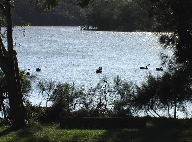 Melaleuca Lakeside by the beach at Woolgoolga - Paradise summer and winter