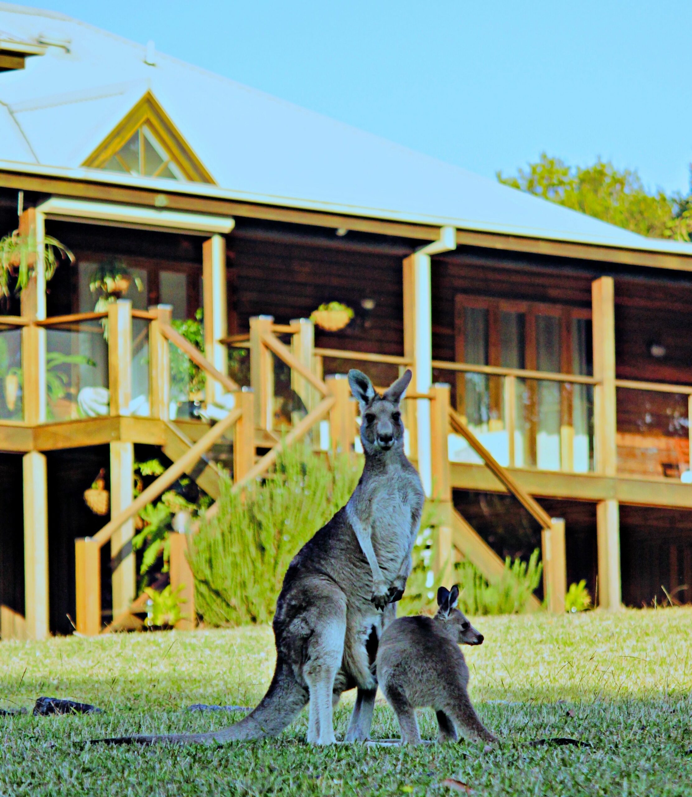 Tranquilo Beach House Luxury wildlife reserve on the Ocean