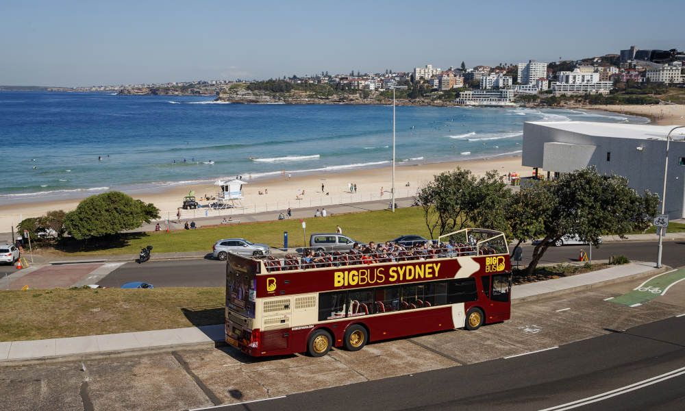 Big Bus Sydney and Bondi Hop-on Hop-off Tour