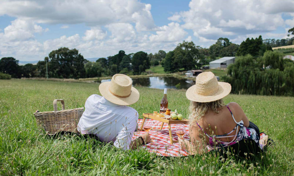 Printhie Wines Picnic And Guided Wine Tasting Tour