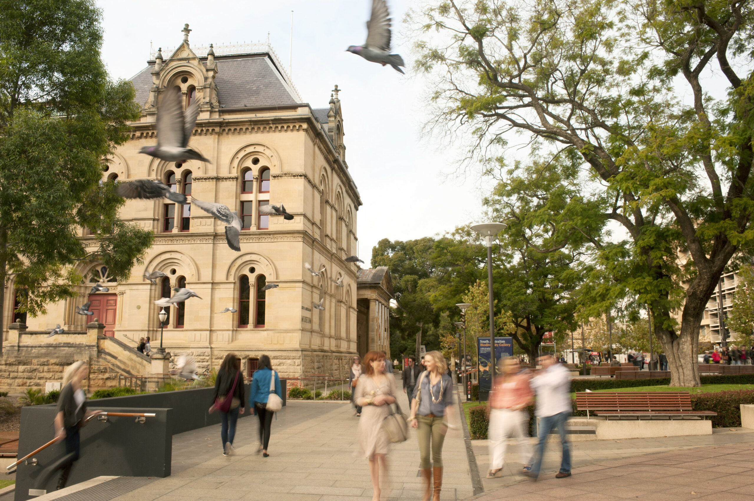 Meet, Greet and Adelaide City Sights