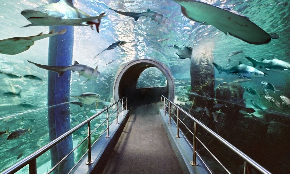 LEGOLAND Discovery Centre + SEA LIFE Melbourne Aquarium Combo