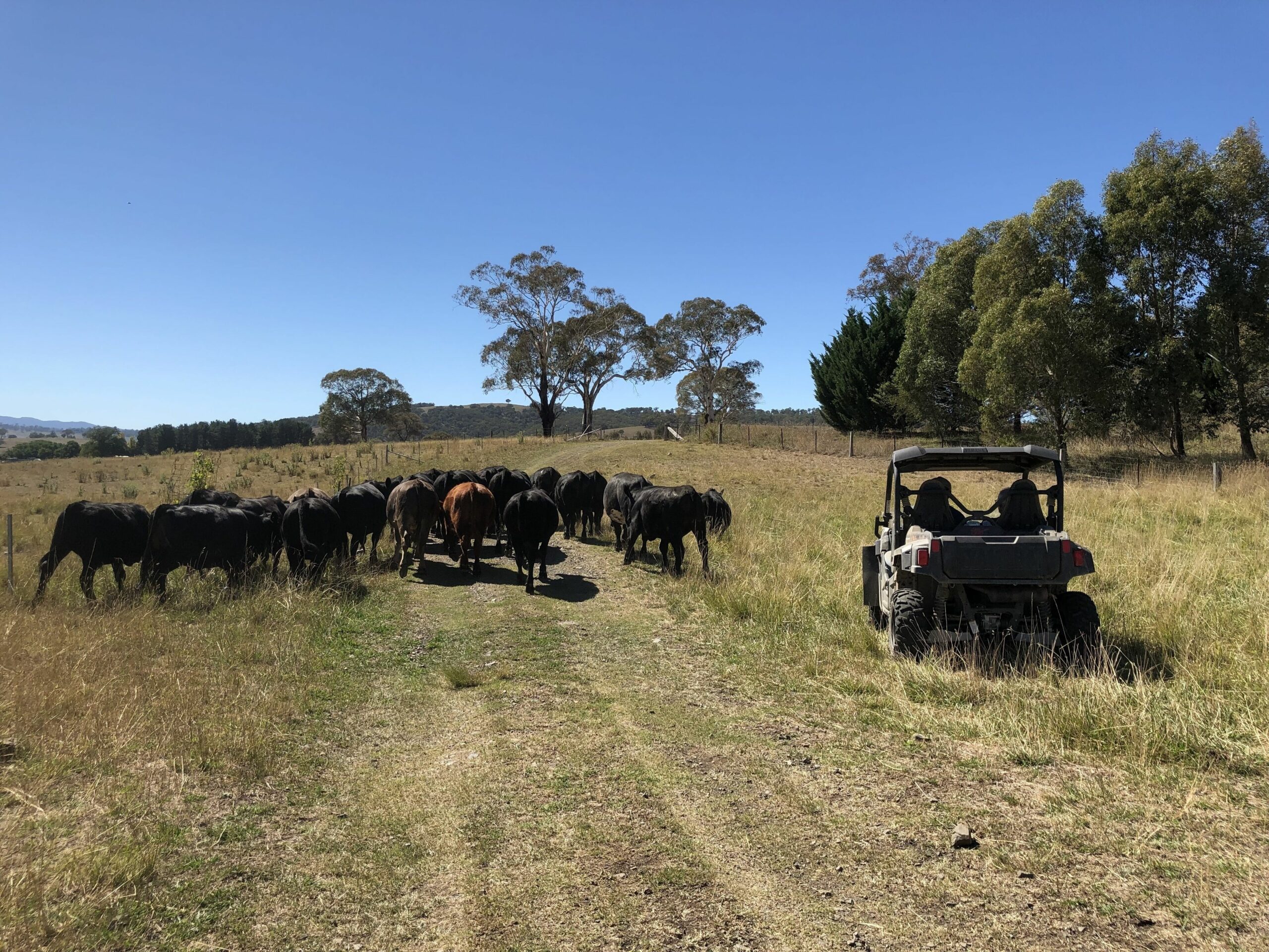 Relaxing Peaceful Well Equipped Farm Stay