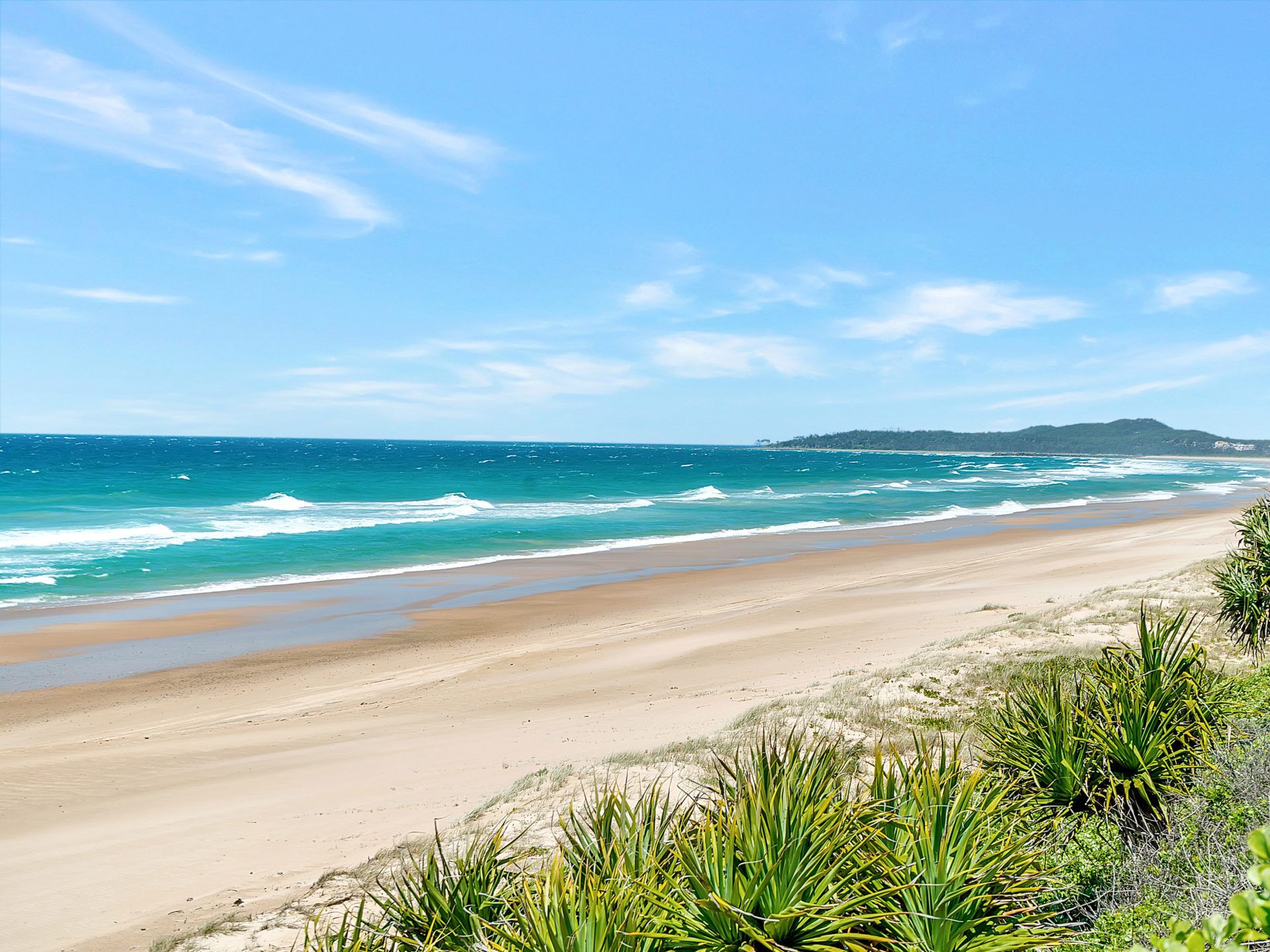 SEA Legs - Wooli, NSW