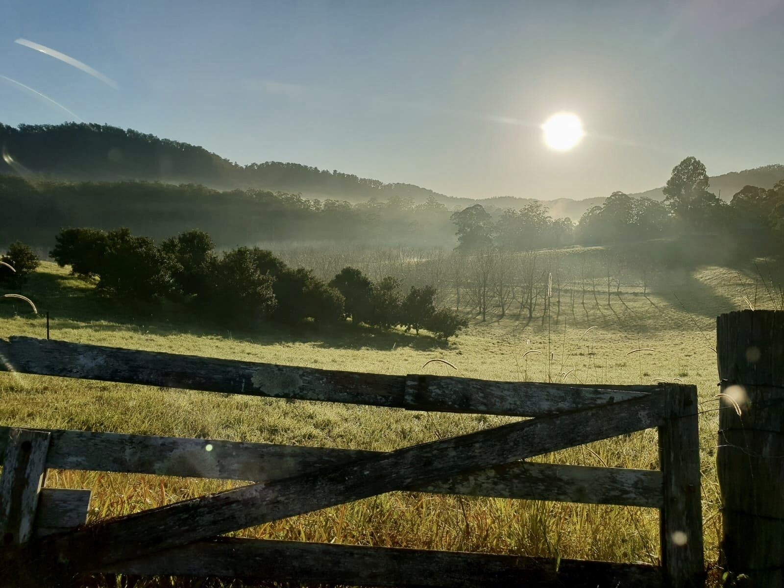 Bellbowra Farmstay - Pet Friendly - Nambucca Valley