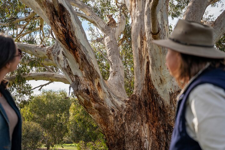 Full Day Flinders Chase Tour from Kangaroo Island