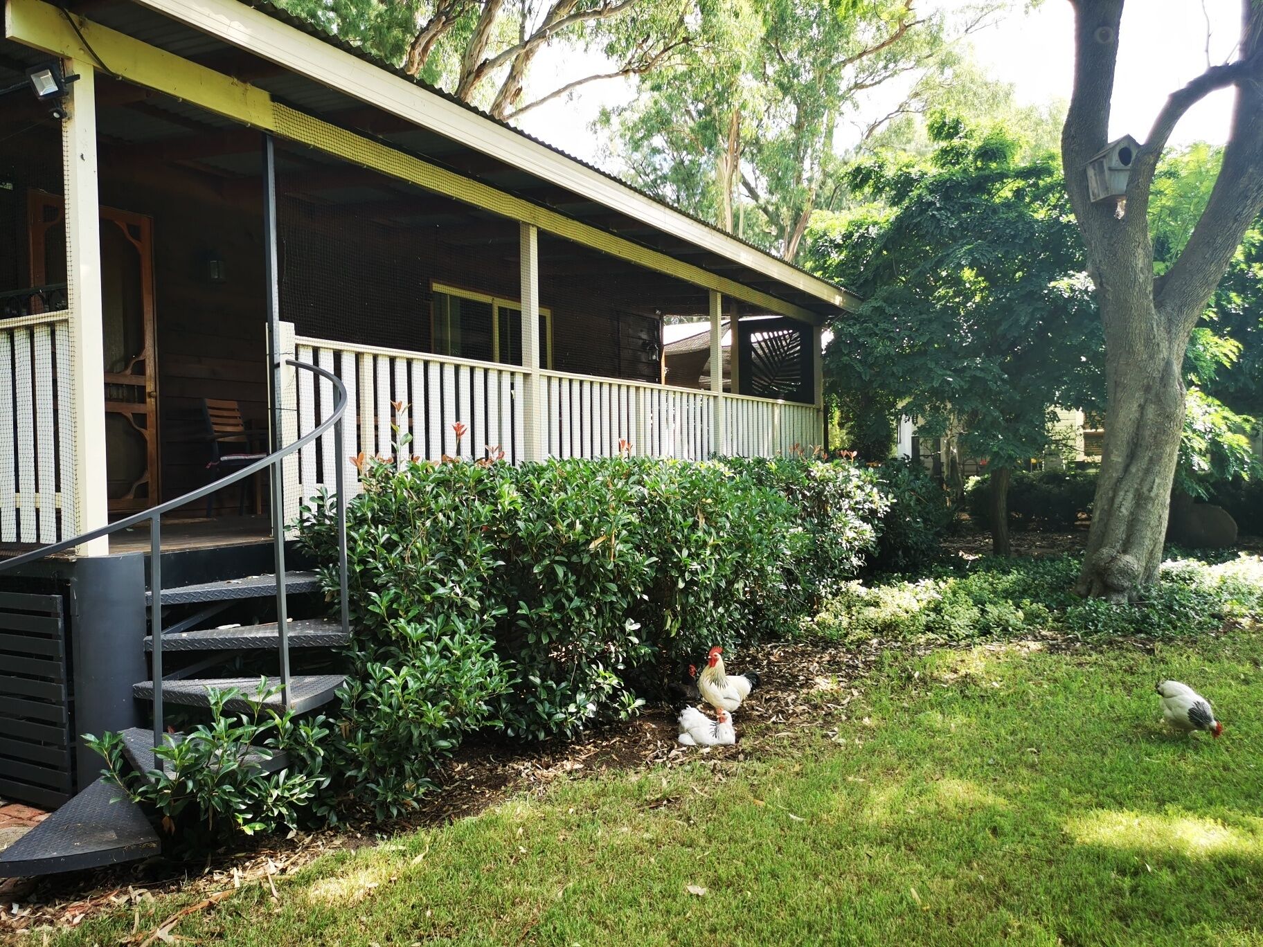 Quiet Country Retreat 2 Minutes From the CBD