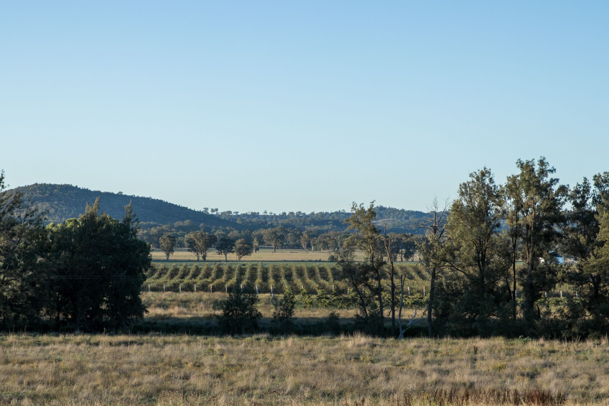 Abercorn - House and Farm Mudgee