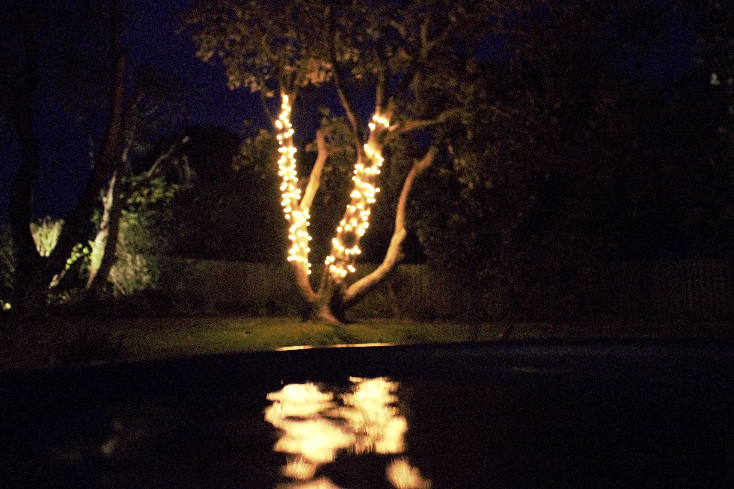 Birdsong - Garden Tranquility by the Beach