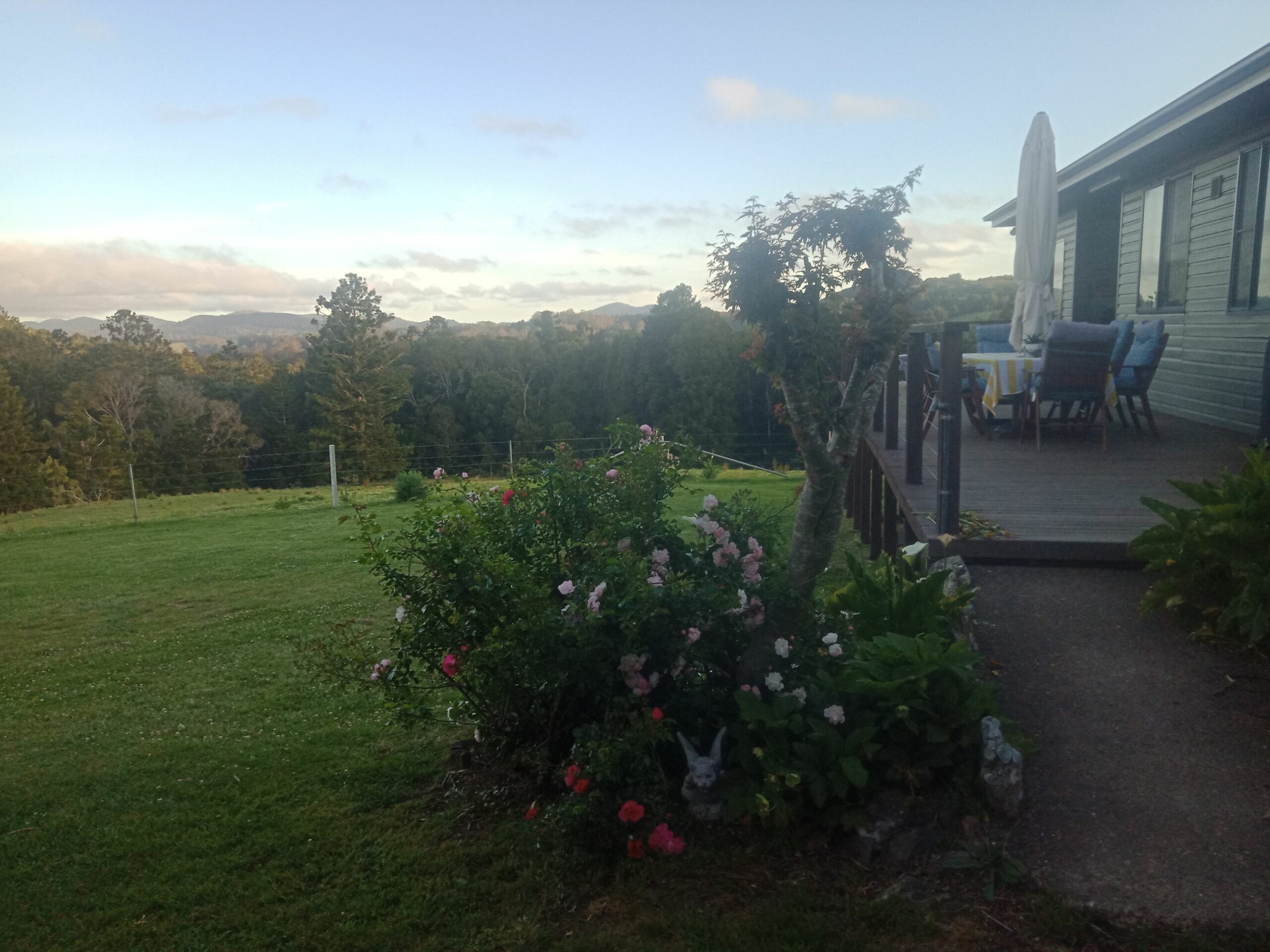 Fay's Cottage -Charming and secluded near Dorrigo