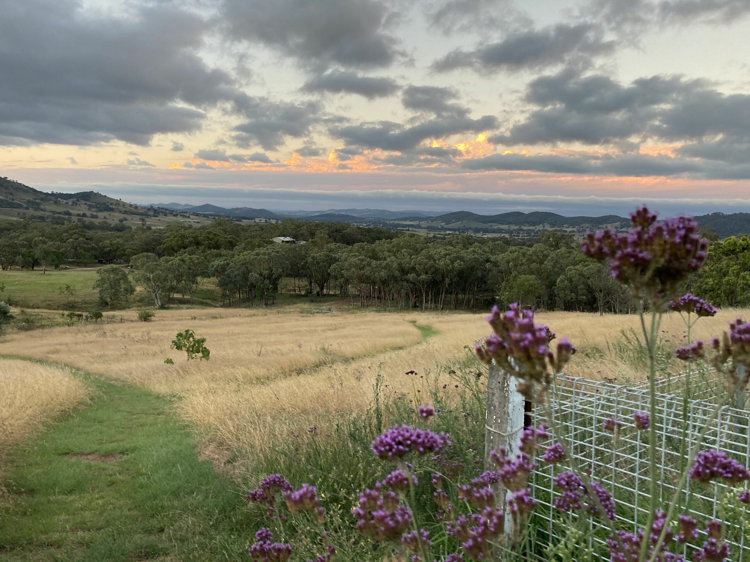 Views forever in a cosy house