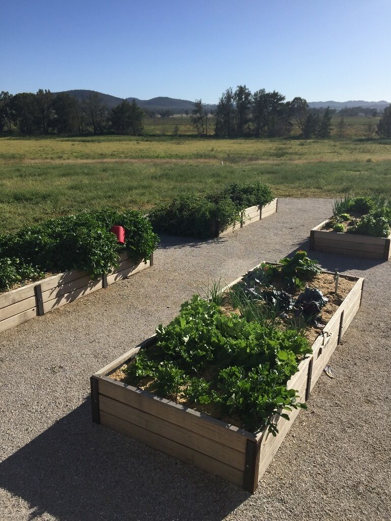 Abercorn - House and Farm Mudgee