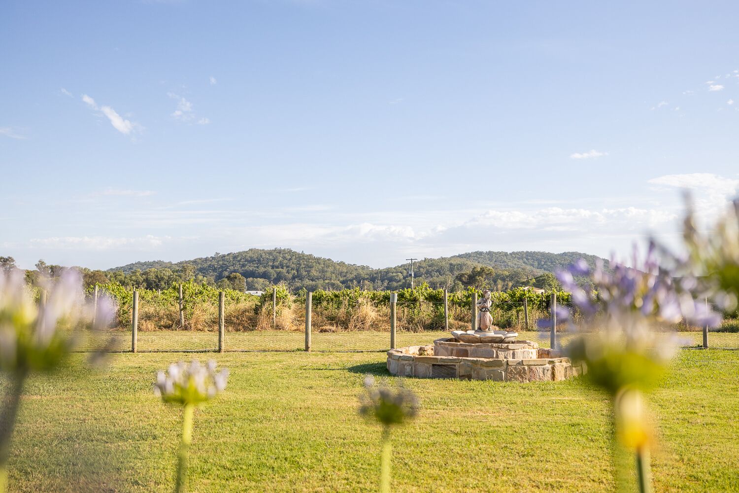 Vineyard Cottage by Your Innkeeper Mudgee