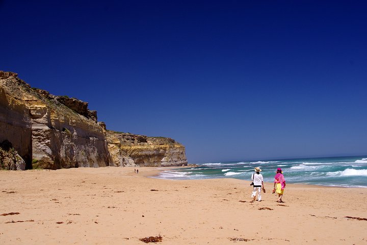 Premium Great Ocean Road Day Tour: Surf Coast route 12 Apostles, Loch Ard Gorge