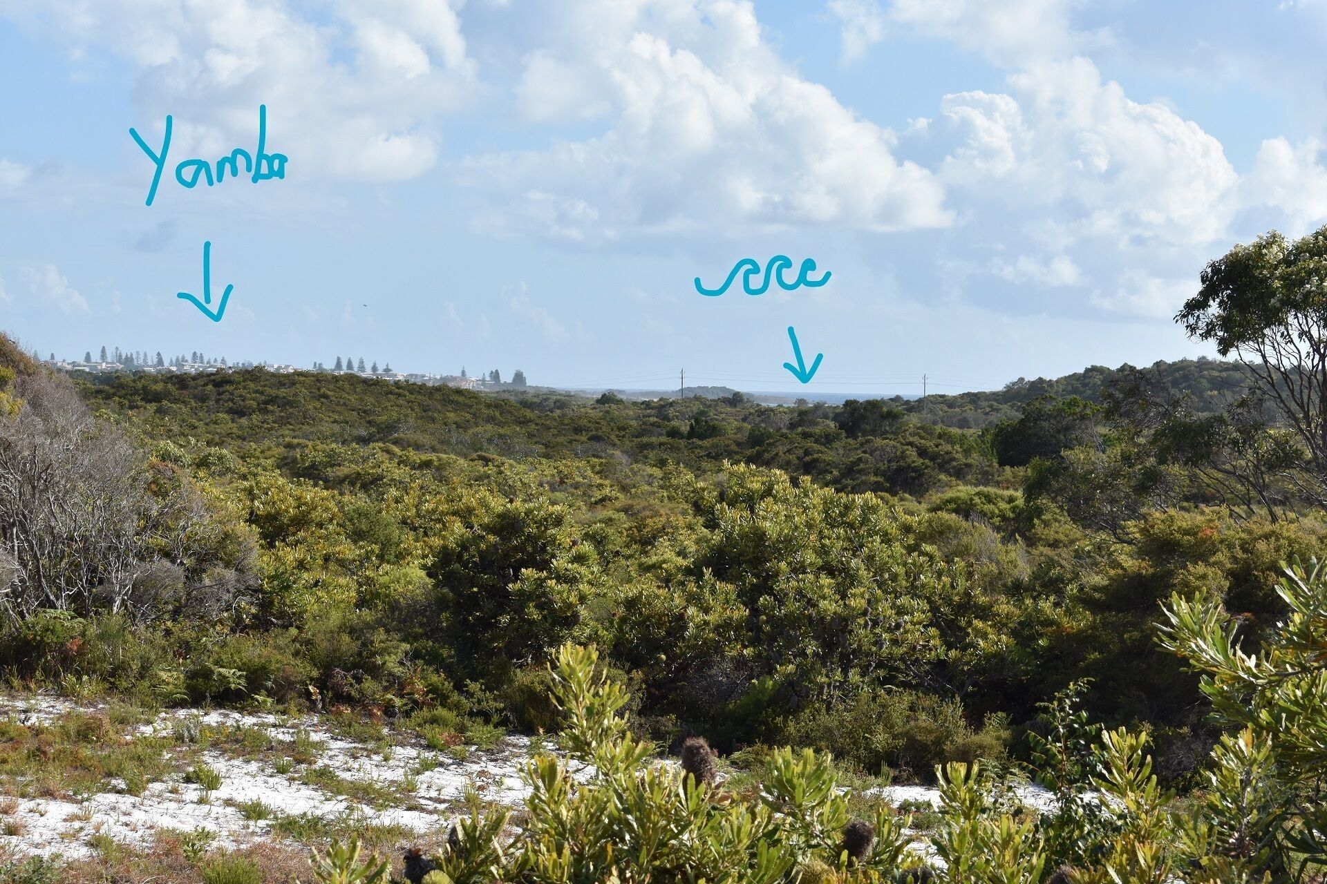 Nestled between Yuraygir National Park, lake & sea