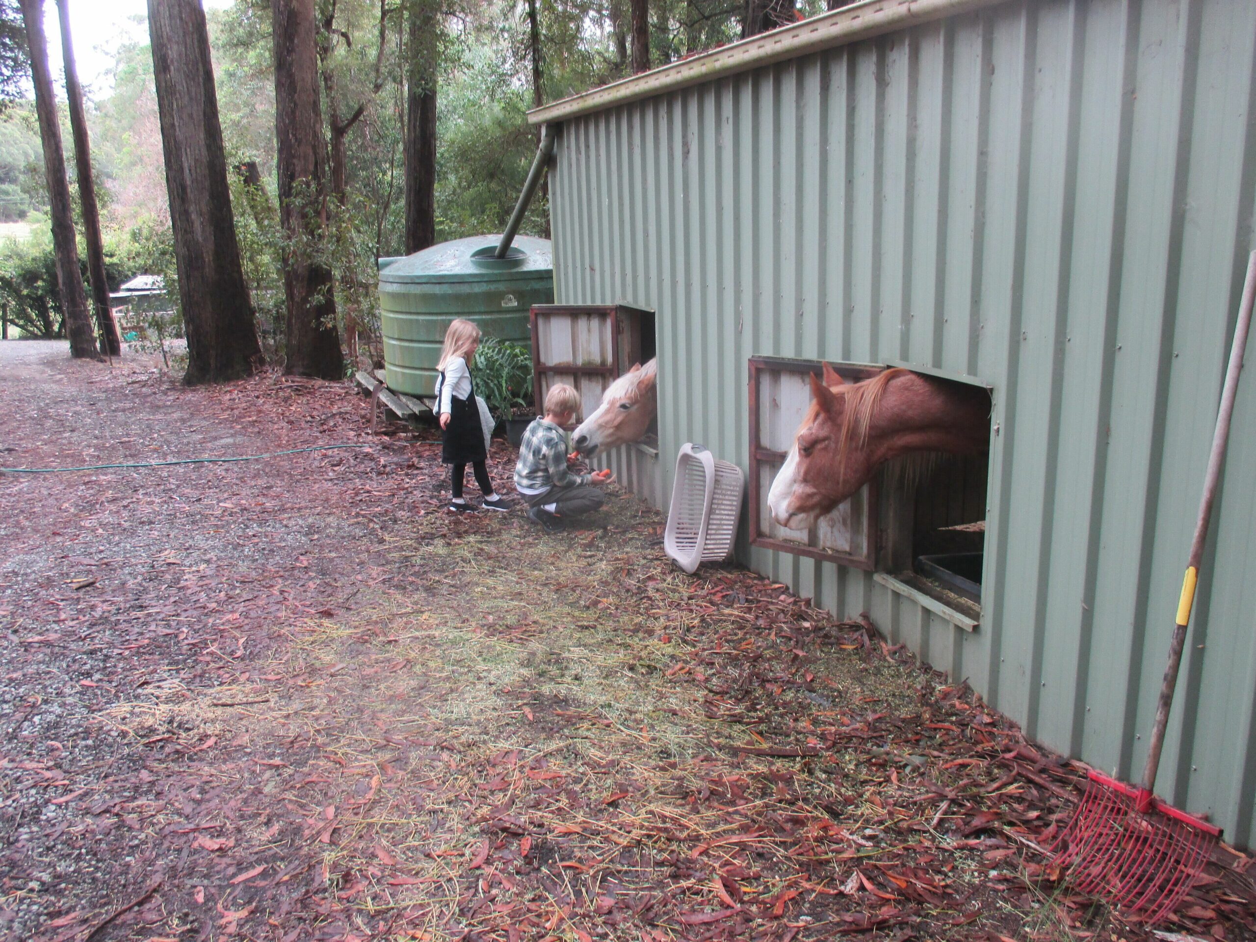 Ann's Country Farm - Cabin