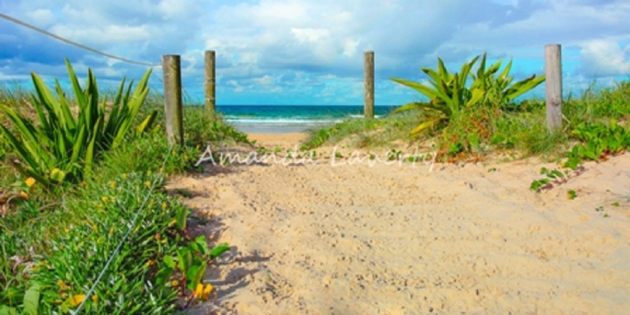 Sandy Feet - Wooli, NSW